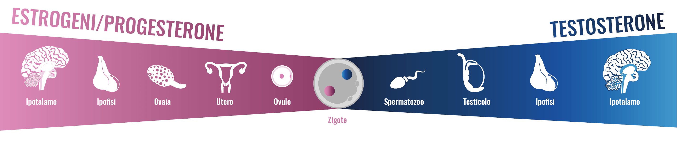 radiazioni del cancro alla prostata e gravidanza radiazioni del cancro alla prostata e gravidanza